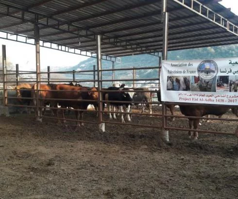 Photo principale de cette action