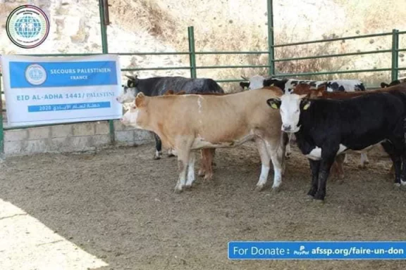 Photo principale de cette action