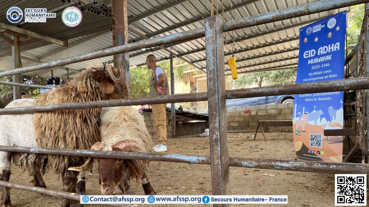 Distribution de Qurbani aux populations démunies de Gaza